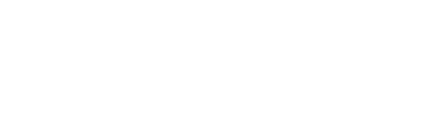 logo de website